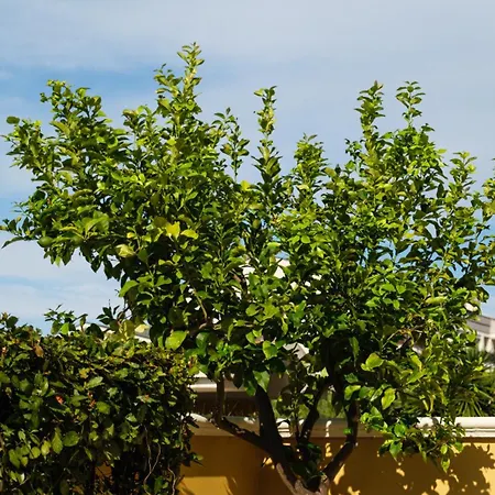 Apartment Smart And Sea Tortoreto