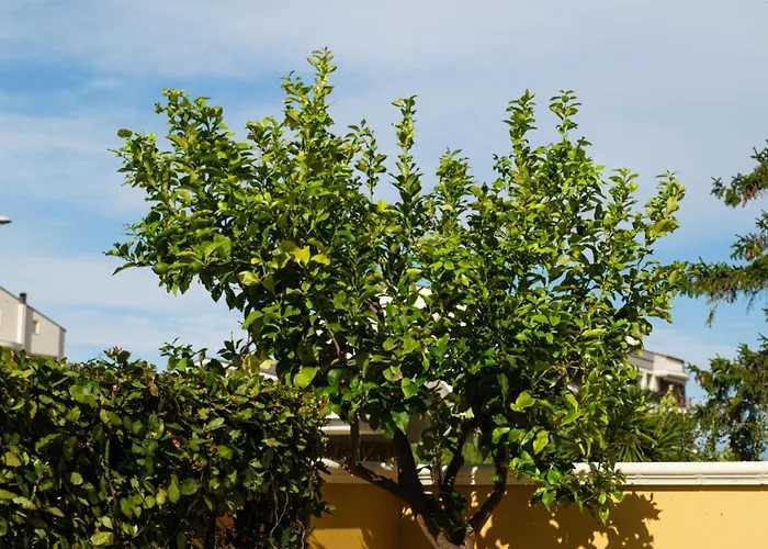 Διαμέρισμα Smart And Sea Tortoreto